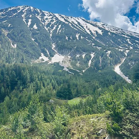Na Planina Lägenhet Razlog