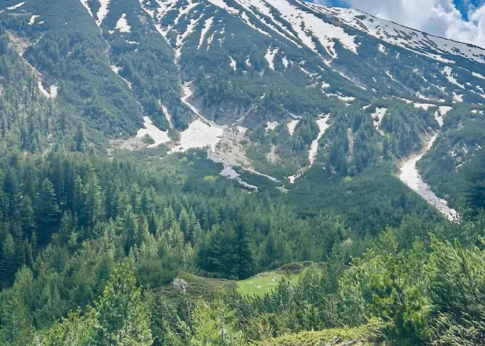 Na Planina Апартаменты Разлог